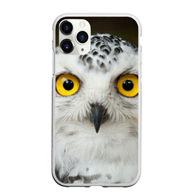 Чехол для iPhone 11 Pro матовый с принтом Белый филин в Екатеринбурге, Силикон |  | глаза | клюв | когти | крылья | лес | летать | мудрая | мудрость | неясыть | ночная | ночь | охота | перья | полярная | почтовая | птица | серая | сова | совенок | сон | сыч | умная | филин | хищник