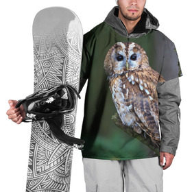 Накидка на куртку 3D с принтом Сова в Екатеринбурге, 100% полиэстер |  | глаза | клюв | когти | крылья | лес | летать | мудрая | мудрость | неясыть | ночная | ночь | охота | перья | полярная | почтовая | птица | серая | сова | совенок | сон | сыч | умная | филин | хищник
