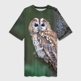 Платье-футболка 3D с принтом Сова в Екатеринбурге,  |  | глаза | клюв | когти | крылья | лес | летать | мудрая | мудрость | неясыть | ночная | ночь | охота | перья | полярная | почтовая | птица | серая | сова | совенок | сон | сыч | умная | филин | хищник