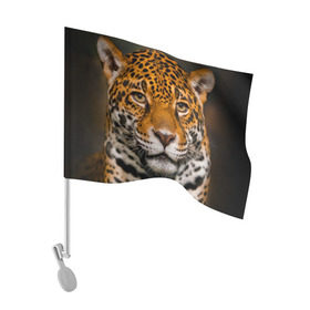 Флаг для автомобиля с принтом Jaguar в Екатеринбурге, 100% полиэстер | Размер: 30*21 см | глаза | дикая кошка | кошка | леопард | сафари | хищник | ягуар