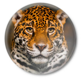 Значок с принтом Jaguar в Екатеринбурге,  металл | круглая форма, металлическая застежка в виде булавки | Тематика изображения на принте: глаза | дикая кошка | кошка | леопард | сафари | хищник | ягуар