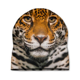 Шапка 3D с принтом Jaguar в Екатеринбурге, 100% полиэстер | универсальный размер, печать по всей поверхности изделия | глаза | дикая кошка | кошка | леопард | сафари | хищник | ягуар