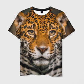 Мужская футболка 3D с принтом Jaguar в Екатеринбурге, 100% полиэфир | прямой крой, круглый вырез горловины, длина до линии бедер | Тематика изображения на принте: глаза | дикая кошка | кошка | леопард | сафари | хищник | ягуар