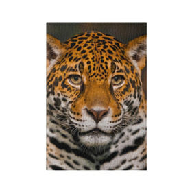 Обложка для паспорта матовая кожа с принтом Jaguar в Екатеринбурге, натуральная матовая кожа | размер 19,3 х 13,7 см; прозрачные пластиковые крепления | Тематика изображения на принте: глаза | дикая кошка | кошка | леопард | сафари | хищник | ягуар