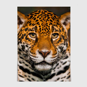 Постер с принтом Jaguar в Екатеринбурге, 100% бумага
 | бумага, плотность 150 мг. Матовая, но за счет высокого коэффициента гладкости имеет небольшой блеск и дает на свету блики, но в отличии от глянцевой бумаги не покрыта лаком | глаза | дикая кошка | кошка | леопард | сафари | хищник | ягуар