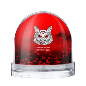 Водяной шар с принтом Twin Peaks в Екатеринбурге, Пластик | Изображение внутри шара печатается на глянцевой фотобумаге с двух сторон | twin peaks твин пикс | девид линч | лес | лора палмер | сова | туман