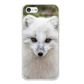 Чехол для iPhone 5/5S матовый с принтом White Fox в Екатеринбурге, Силикон | Область печати: задняя сторона чехла, без боковых панелей | fox | red | лиса | лисенок | рыжая