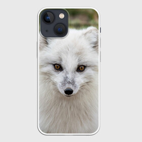 Чехол для iPhone 13 mini с принтом White Fox в Екатеринбурге,  |  | fox | red | лиса | лисенок | рыжая