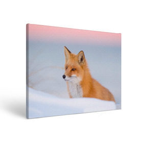 Холст прямоугольный с принтом Morning в Екатеринбурге, 100% ПВХ |  | fox | red | лиса | лисенок | рыжая