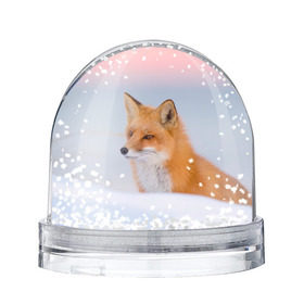 Снежный шар с принтом Morning в Екатеринбурге, Пластик | Изображение внутри шара печатается на глянцевой фотобумаге с двух сторон | fox | red | лиса | лисенок | рыжая