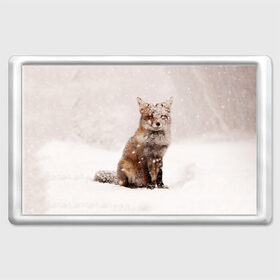 Магнит 45*70 с принтом Snow в Екатеринбурге, Пластик | Размер: 78*52 мм; Размер печати: 70*45 | fox | red | лиса | лисенок | рыжая