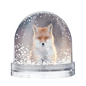 Снежный шар с принтом Eyes в Екатеринбурге, Пластик | Изображение внутри шара печатается на глянцевой фотобумаге с двух сторон | fox | red | лиса | лисенок | рыжая