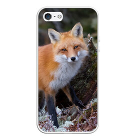 Чехол для iPhone 5/5S матовый с принтом Лес в Екатеринбурге, Силикон | Область печати: задняя сторона чехла, без боковых панелей | fox | red | лиса | лисенок | рыжая