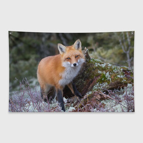 Флаг-баннер с принтом Лес в Екатеринбурге, 100% полиэстер | размер 67 х 109 см, плотность ткани — 95 г/м2; по краям флага есть четыре люверса для крепления | fox | red | лиса | лисенок | рыжая