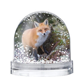 Снежный шар с принтом Лес в Екатеринбурге, Пластик | Изображение внутри шара печатается на глянцевой фотобумаге с двух сторон | fox | red | лиса | лисенок | рыжая