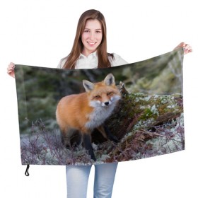 Флаг 3D с принтом Лес в Екатеринбурге, 100% полиэстер | плотность ткани — 95 г/м2, размер — 67 х 109 см. Принт наносится с одной стороны | fox | red | лиса | лисенок | рыжая