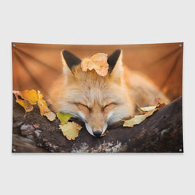 Флаг-баннер с принтом Соня в Екатеринбурге, 100% полиэстер | размер 67 х 109 см, плотность ткани — 95 г/м2; по краям флага есть четыре люверса для крепления | fox | red | лиса | лисенок | рыжая