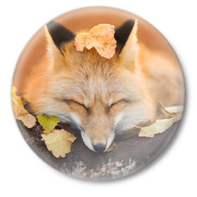 Значок с принтом Соня в Екатеринбурге,  металл | круглая форма, металлическая застежка в виде булавки | Тематика изображения на принте: fox | red | лиса | лисенок | рыжая