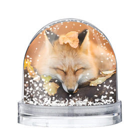 Снежный шар с принтом Соня в Екатеринбурге, Пластик | Изображение внутри шара печатается на глянцевой фотобумаге с двух сторон | fox | red | лиса | лисенок | рыжая