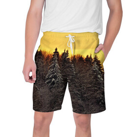 Мужские шорты 3D с принтом Русский лес в Екатеринбурге,  полиэстер 100% | прямой крой, два кармана без застежек по бокам. Мягкая трикотажная резинка на поясе, внутри которой широкие завязки. Длина чуть выше колен | 