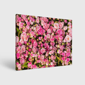 Холст прямоугольный с принтом Розовый рай в Екатеринбурге, 100% ПВХ |  | бутон | лепестки | роза | розовый | розочка | цветок | цветы