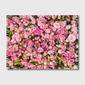 Альбом для рисования с принтом Розовый рай в Екатеринбурге, 100% бумага
 | матовая бумага, плотность 200 мг. | Тематика изображения на принте: бутон | лепестки | роза | розовый | розочка | цветок | цветы