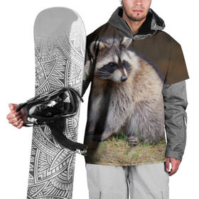 Накидка на куртку 3D с принтом Енот в Екатеринбурге, 100% полиэстер |  | барсук | добрый | енот | животное | зверек | зверь | красивый | крошка | милое | милый | полоски серые | полоскун | прикольный | природа | скунс | усатый | фауна | флора | хищник | черный | шерсть
