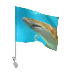 Флаг для автомобиля с принтом Тигровая акула в Екатеринбурге, 100% полиэстер | Размер: 30*21 см | голубое море | океан | рыба