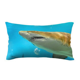 Подушка 3D антистресс с принтом Тигровая акула в Екатеринбурге, наволочка — 100% полиэстер, наполнитель — вспененный полистирол | состоит из подушки и наволочки на молнии | голубое море | океан | рыба