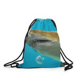 Рюкзак-мешок 3D с принтом Тигровая акула в Екатеринбурге, 100% полиэстер | плотность ткани — 200 г/м2, размер — 35 х 45 см; лямки — толстые шнурки, застежка на шнуровке, без карманов и подкладки | Тематика изображения на принте: голубое море | океан | рыба