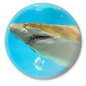 Значок с принтом Тигровая акула в Екатеринбурге,  металл | круглая форма, металлическая застежка в виде булавки | Тематика изображения на принте: голубое море | океан | рыба