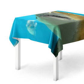 Скатерть 3D с принтом Тигровая акула в Екатеринбурге, 100% полиэстер (ткань не мнется и не растягивается) | Размер: 150*150 см | голубое море | океан | рыба