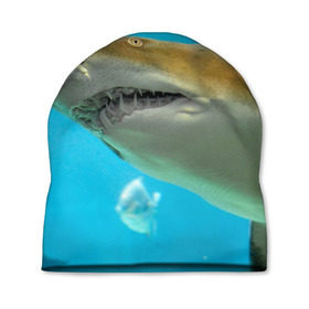 Шапка 3D с принтом Тигровая акула в Екатеринбурге, 100% полиэстер | универсальный размер, печать по всей поверхности изделия | голубое море | океан | рыба