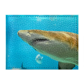Обложка для студенческого билета с принтом Тигровая акула в Екатеринбурге, натуральная кожа | Размер: 11*8 см; Печать на всей внешней стороне | Тематика изображения на принте: голубое море | океан | рыба