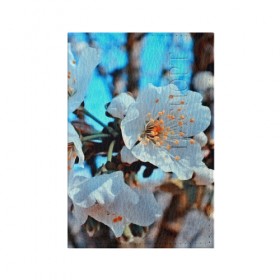Обложка для паспорта матовая кожа с принтом Весна в Екатеринбурге, натуральная матовая кожа | размер 19,3 х 13,7 см; прозрачные пластиковые крепления | 3d | flower | весна | другие | красивые цветы | красные | лето | поле | полевой цветок | прикольные | природа | текстуры | цветочки | цветы