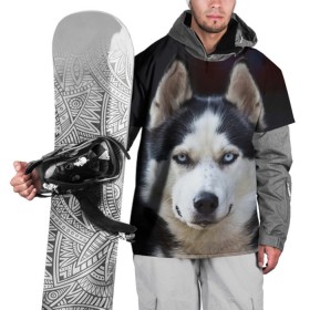 Накидка на куртку 3D с принтом Хаски в Екатеринбурге, 100% полиэстер |  | dog | лабрадор | мопс | пес | собака | такса | хаски | щеночек
