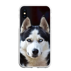 Чехол для iPhone XS Max матовый с принтом Хаски в Екатеринбурге, Силикон | Область печати: задняя сторона чехла, без боковых панелей | dog | лабрадор | мопс | пес | собака | такса | хаски | щеночек
