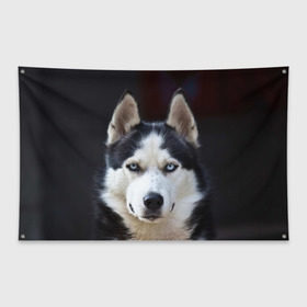 Флаг-баннер с принтом Хаски в Екатеринбурге, 100% полиэстер | размер 67 х 109 см, плотность ткани — 95 г/м2; по краям флага есть четыре люверса для крепления | dog | лабрадор | мопс | пес | собака | такса | хаски | щеночек