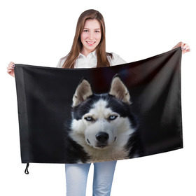 Флаг 3D с принтом Хаски в Екатеринбурге, 100% полиэстер | плотность ткани — 95 г/м2, размер — 67 х 109 см. Принт наносится с одной стороны | dog | лабрадор | мопс | пес | собака | такса | хаски | щеночек