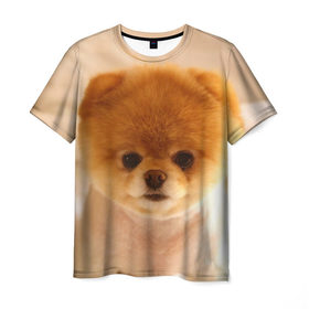 Мужская футболка 3D с принтом Пушистик в Екатеринбурге, 100% полиэфир | прямой крой, круглый вырез горловины, длина до линии бедер | dog | пес | померанский | собака | шпиц | щеночек