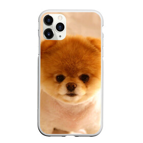 Чехол для iPhone 11 Pro Max матовый с принтом Пушистик в Екатеринбурге, Силикон |  | dog | пес | померанский | собака | шпиц | щеночек
