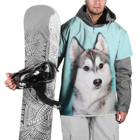 Накидка на куртку 3D с принтом Blue в Екатеринбурге, 100% полиэстер |  | Тематика изображения на принте: dog | бандит | пес | собака | хаски | хаски бандит | щеночек