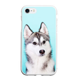 Чехол для iPhone 7/8 матовый с принтом Blue в Екатеринбурге, Силикон | Область печати: задняя сторона чехла, без боковых панелей | dog | бандит | пес | собака | хаски | хаски бандит | щеночек