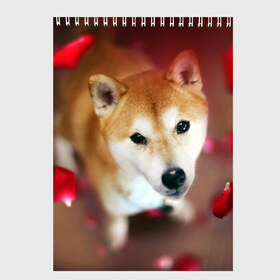 Скетчбук с принтом Love в Екатеринбурге, 100% бумага
 | 48 листов, плотность листов — 100 г/м2, плотность картонной обложки — 250 г/м2. Листы скреплены сверху удобной пружинной спиралью | dog | ину | пес | сиба | сиба ину | собака