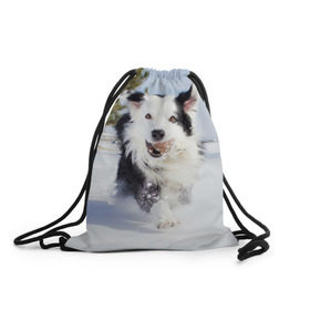Рюкзак-мешок 3D с принтом Snow в Екатеринбурге, 100% полиэстер | плотность ткани — 200 г/м2, размер — 35 х 45 см; лямки — толстые шнурки, застежка на шнуровке, без карманов и подкладки | Тематика изображения на принте: dog | бордер | бордер колли | колли | пес | собака