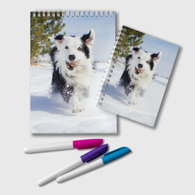 Блокнот с принтом Snow в Екатеринбурге, 100% бумага | 48 листов, плотность листов — 60 г/м2, плотность картонной обложки — 250 г/м2. Листы скреплены удобной пружинной спиралью. Цвет линий — светло-серый
 | Тематика изображения на принте: dog | бордер | бордер колли | колли | пес | собака