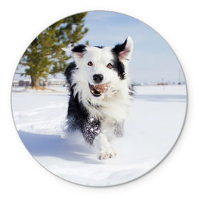Коврик круглый с принтом Snow в Екатеринбурге, резина и полиэстер | круглая форма, изображение наносится на всю лицевую часть | dog | бордер | бордер колли | колли | пес | собака