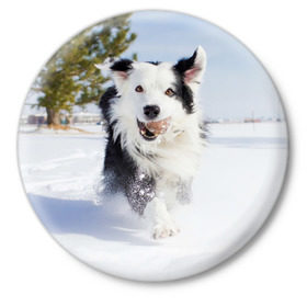 Значок с принтом Snow в Екатеринбурге,  металл | круглая форма, металлическая застежка в виде булавки | Тематика изображения на принте: dog | бордер | бордер колли | колли | пес | собака