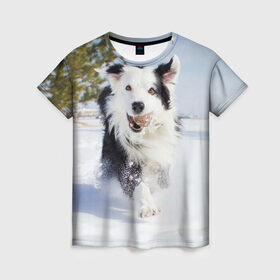 Женская футболка 3D с принтом Snow в Екатеринбурге, 100% полиэфир ( синтетическое хлопкоподобное полотно) | прямой крой, круглый вырез горловины, длина до линии бедер | dog | бордер | бордер колли | колли | пес | собака