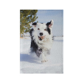 Обложка для паспорта матовая кожа с принтом Snow в Екатеринбурге, натуральная матовая кожа | размер 19,3 х 13,7 см; прозрачные пластиковые крепления | Тематика изображения на принте: dog | бордер | бордер колли | колли | пес | собака
